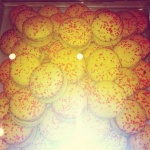 image of food