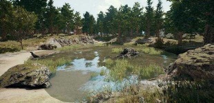 image of pond