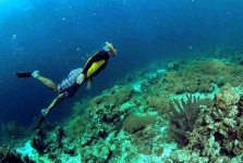 image of snorkel