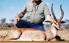 image of gerenuk
