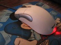 image of mouse
