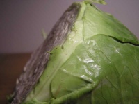 image of head_cabbage #26