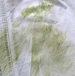 image of texture
