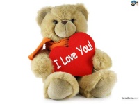 image of teddy_bear