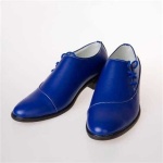 image of blue_shoes #33