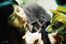 image of animal