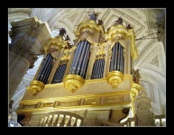 image of organ #19