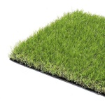 image of grass