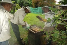 image of apiary #26