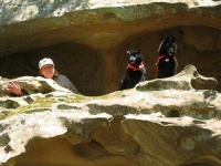 image of schipperke