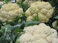 image of cauliflower #17