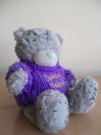 image of teddy