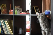 image of bookcase