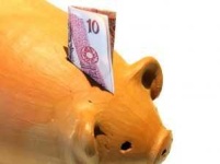 image of piggy_bank #24