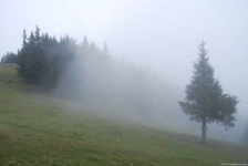 image of foggy