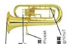 image of euphonium