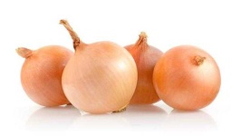 image of onion #4