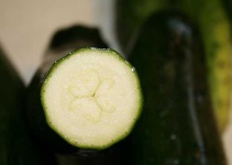 image of zucchini