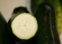 image of zucchini #31