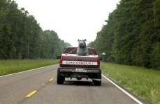 image of pickup