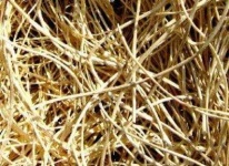 image of texture