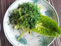 image of seaweed_salad #25