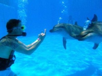 image of animal