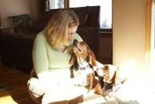 image of beagle