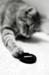 image of lens_cap
