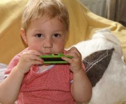 image of harmonica