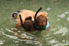 image of snorkel
