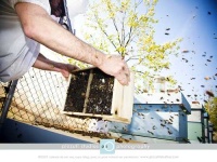 image of apiary