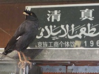 image of street_sign