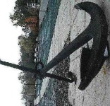 image of anchor #19