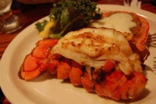 image of american_lobster