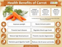 image of carrot #12