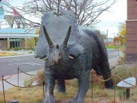 image of triceratops