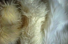 image of texture