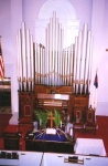 image of organ #28