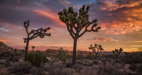 image of desert