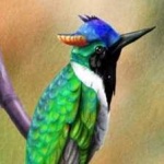 image of bird