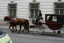 image of horse_cart #23