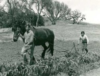 image of plow