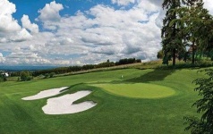 image of golf_club