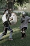 image of shield