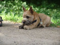 image of cairn