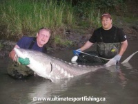 image of sturgeon