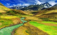image of grassland