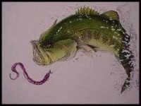 image of animal