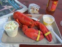 image of american_lobster #2